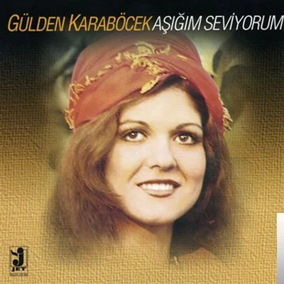 Aşığım Seviyorum (1986) cover