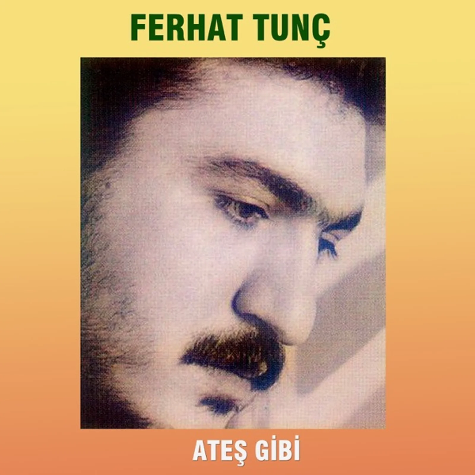 Ateş Gibi (1992) cover