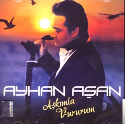 Aşkımla Vururum (2006) cover