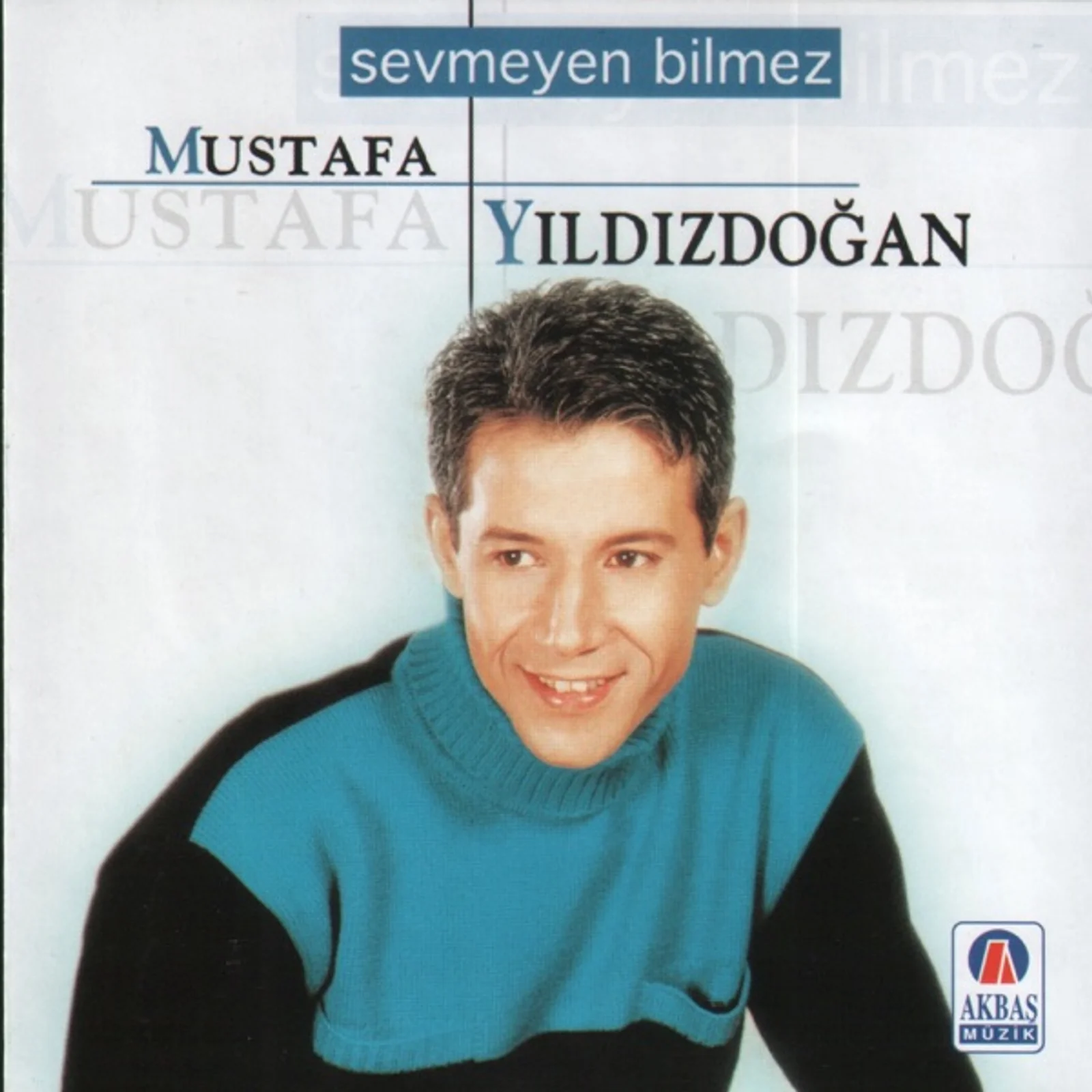 Sevmeyen Bilmez (2001) cover