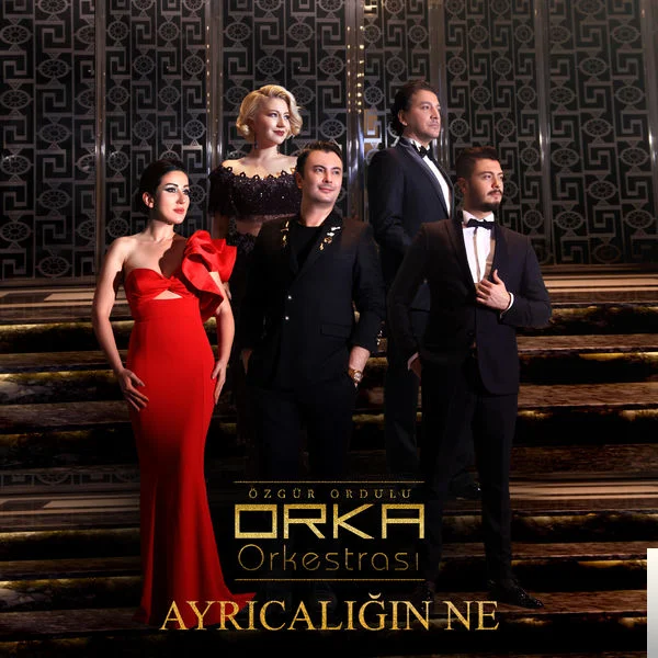 Ayrıcalığın Ne (2018)