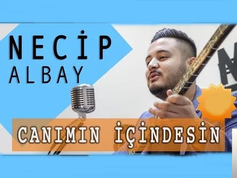 Canımın İçindesin (2018)