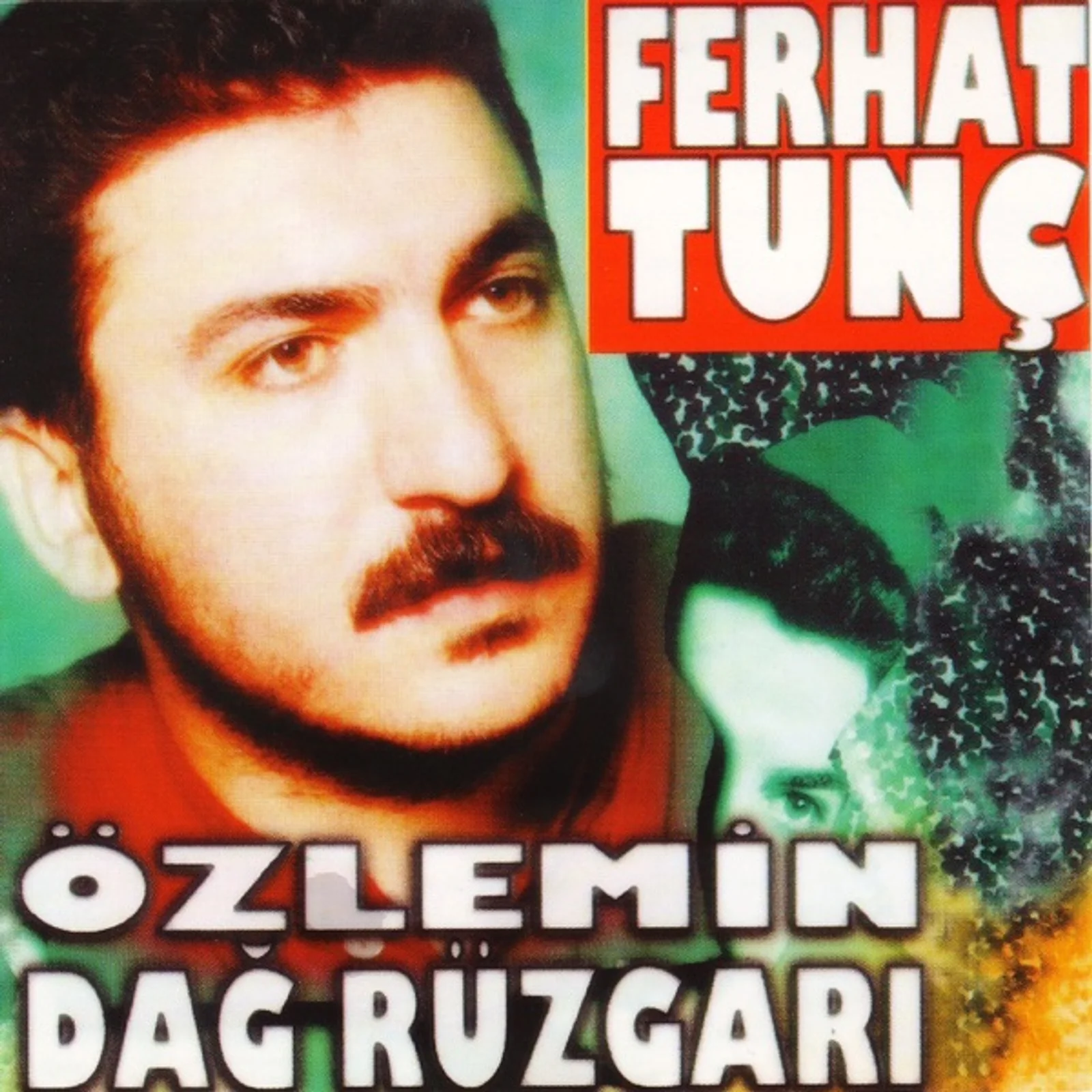 Özlemin Dağ Rüzgarı (1994)