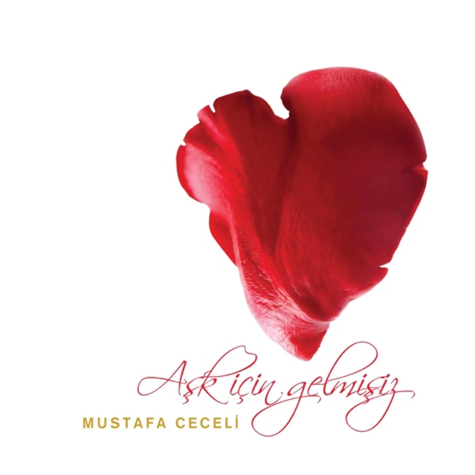 Aşk İçin Gelmişiz (2015) cover