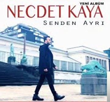 Senden Ayrı (2019) cover