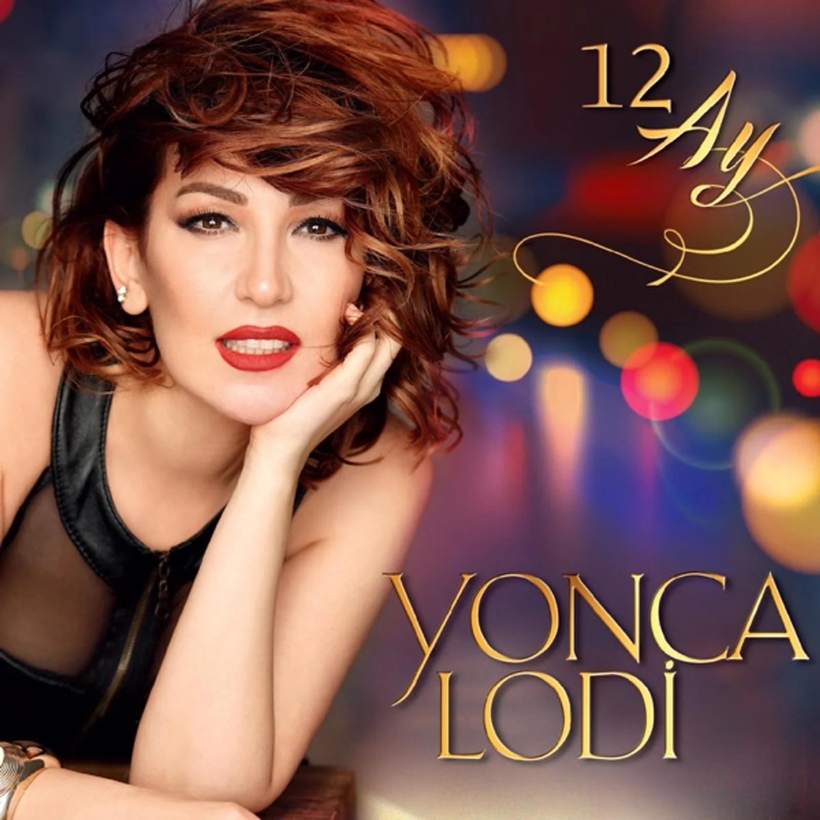 12 Ay (2014) cover