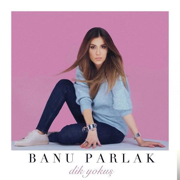 Dik Yokuş (2019)