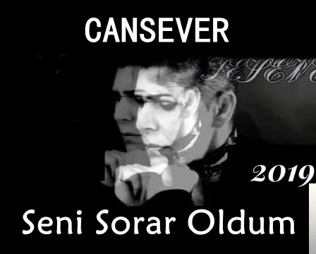 Seni Sorar Oldum (2019) cover