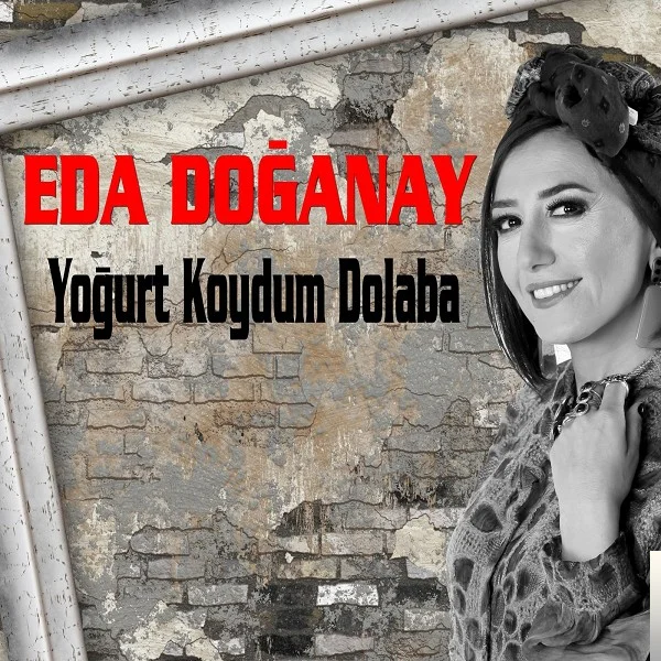 Yoğurt Koydum Dolaba (2019) cover