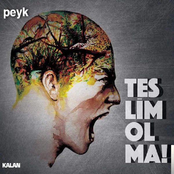 Teslim Olma! (2014)