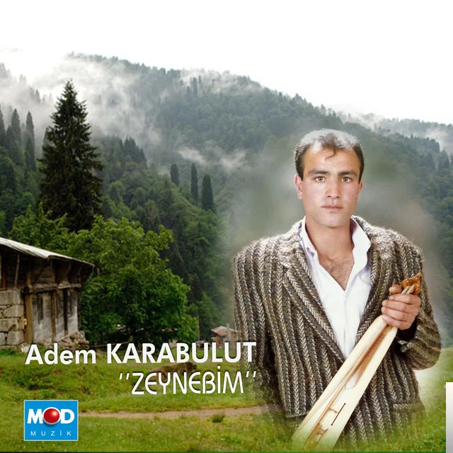 Zeynebim (2014)