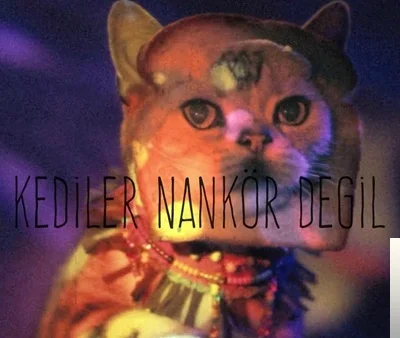 Kediler Nankör Değil (2019) cover