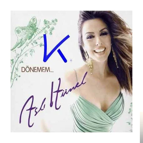 Dönemem (2007)