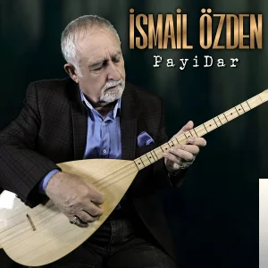 Payidar (2019) cover