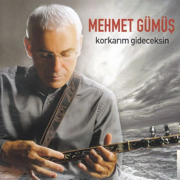 Korkarım Gideceksin (2003)
