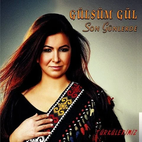 Son Günlerde (2014)