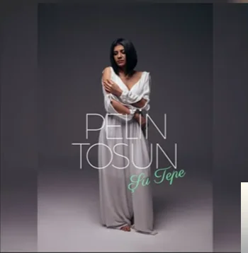 Şu Tepe (2019) cover