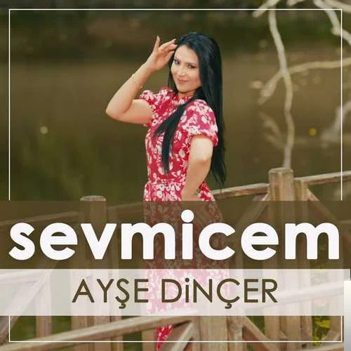 Sevmicem (2019)