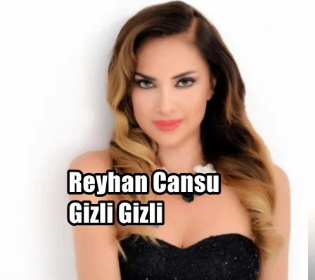 Gizli Gizli (2019)