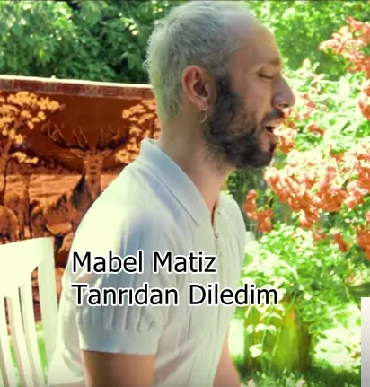 Tanrıdan Diledim (2019) cover