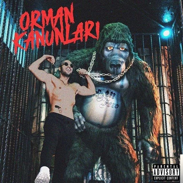 Orman Kanunları (2019)