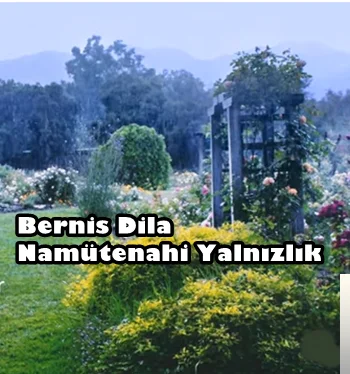 Namütenahi Yalnızlık (2019) cover
