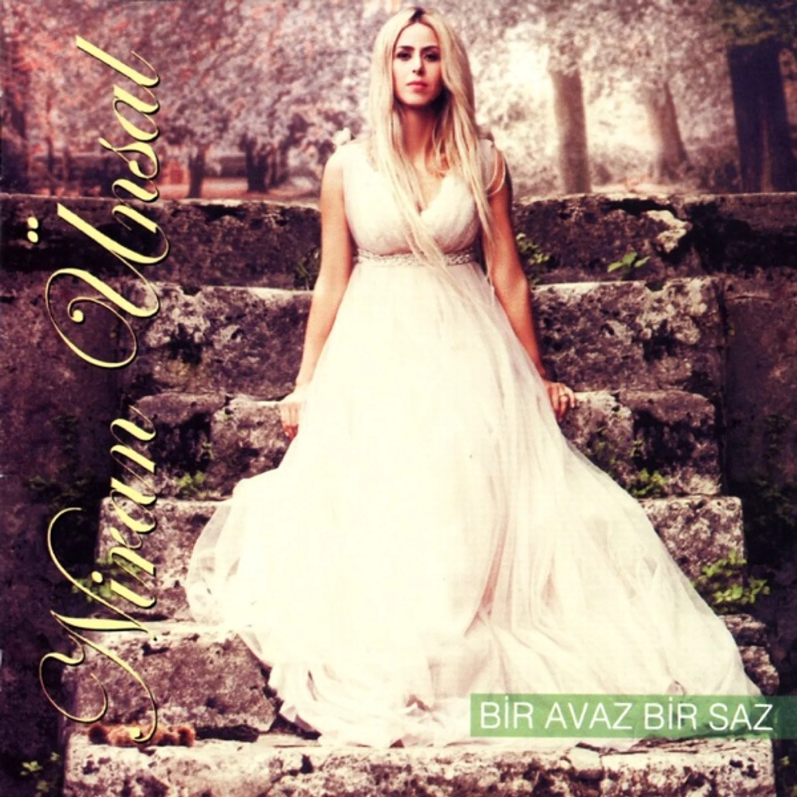 Bir Avaz Bir Saz (2010) cover