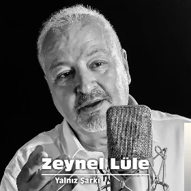 Yalnız Şarkı (2019) cover