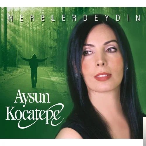 Nerelerdeydin (2009)