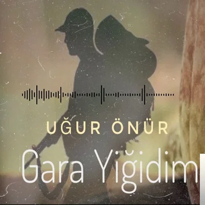 Gara Yiğidim (2019) cover