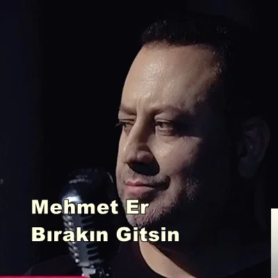 Bırakın Gitsin (2019) cover