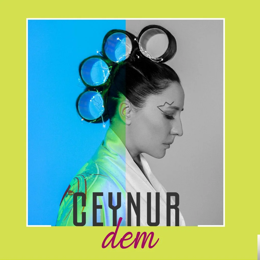 Dem (2019) cover
