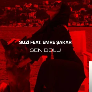 Sen Dolu (2019) cover