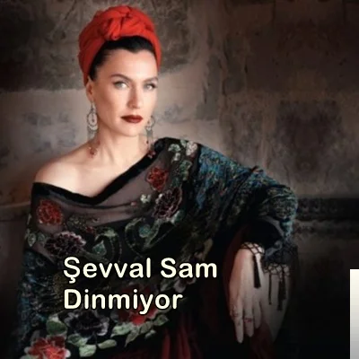 Dinmiyor (2019) cover