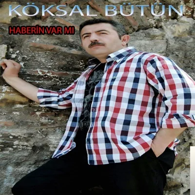 Haberin Var mı (2002)