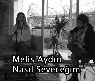Nasıl Seveceğim (2019)