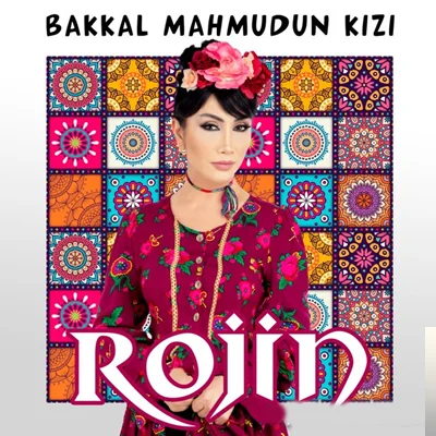 Bakkal Mahmudun Kızı (2019) cover