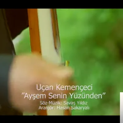 Ayşem Senin Yüzünden (2019)