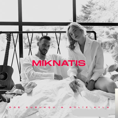 Mıknatıs (2019)