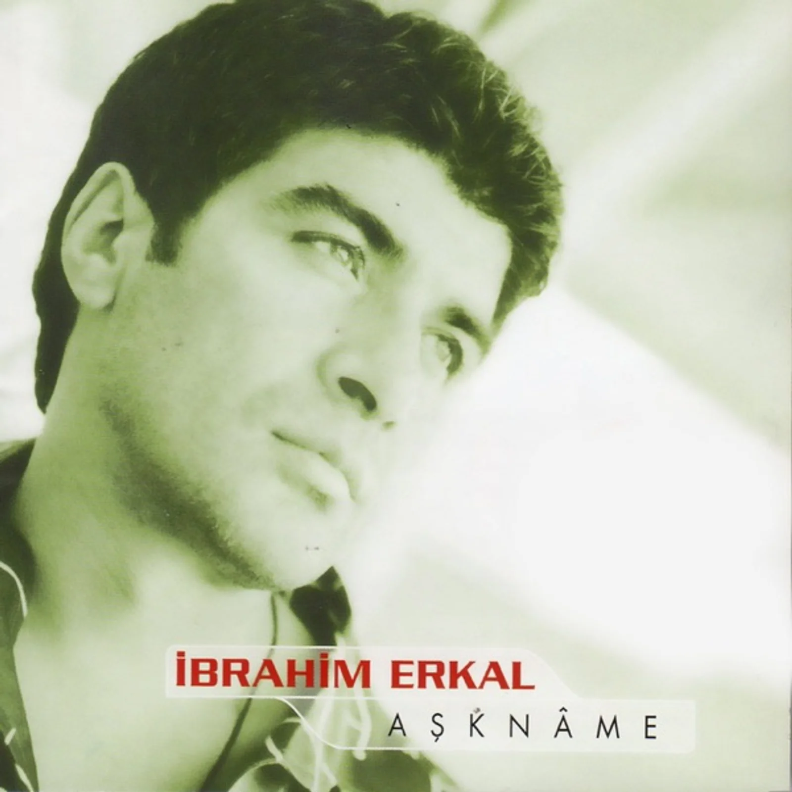 Aşkname (2002) cover