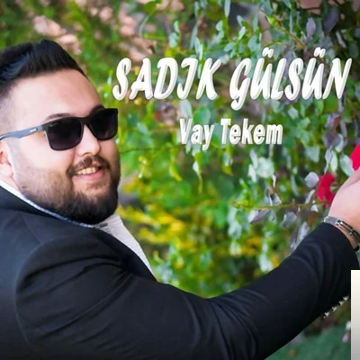 Vay Tekem (2019) cover
