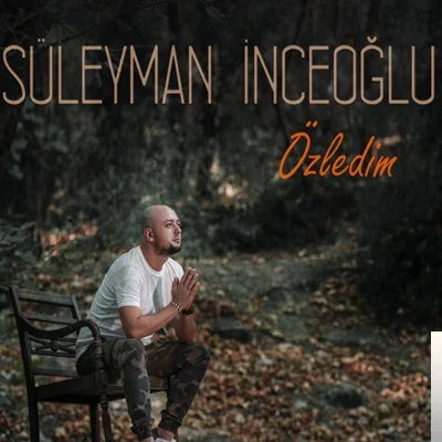 Özledim (2019) cover