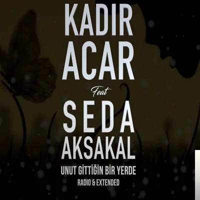 Unut Gittiğin Bir Yerde (2019) cover