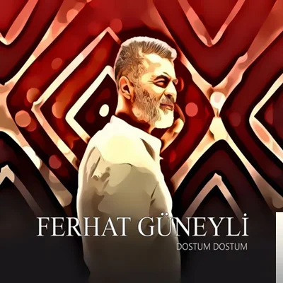 Dostum Dostum (2019) cover