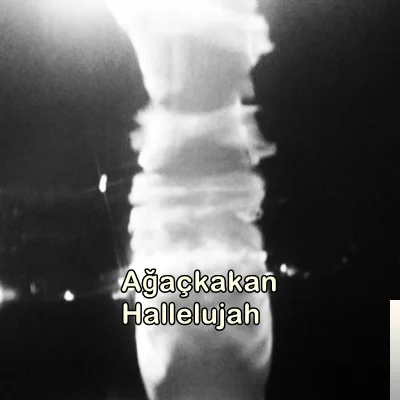 Hallelujah (2019)
