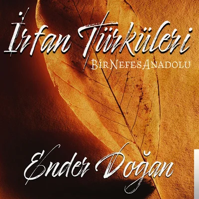 İrfan Türküleri (2019)