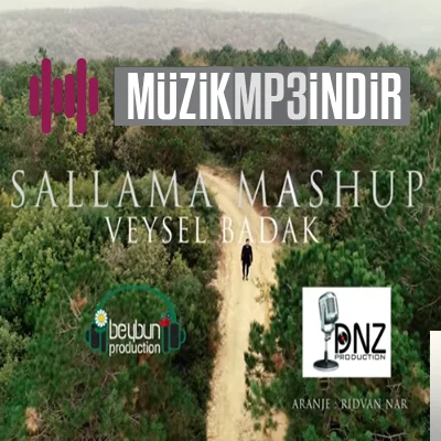 Sallama Mashup (2019) cover