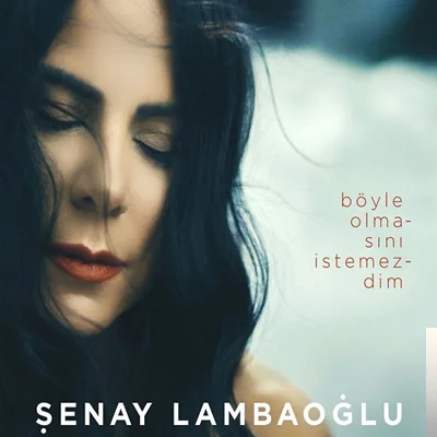 Böyle Olmasını İstemezdim (2019)