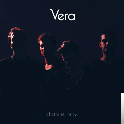 Davetsiz (2019)