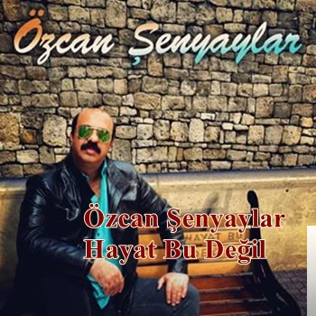 Hayat Bu Değil (2019) cover